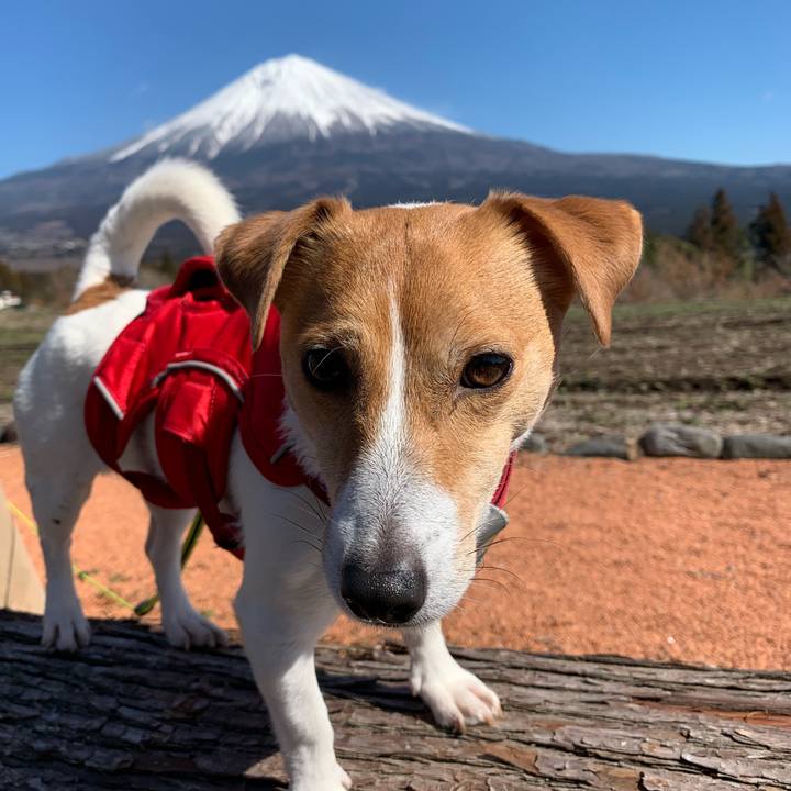 9c8cb5f4 efa0 4f8b 86fc abdbf45ee188 1582440657596