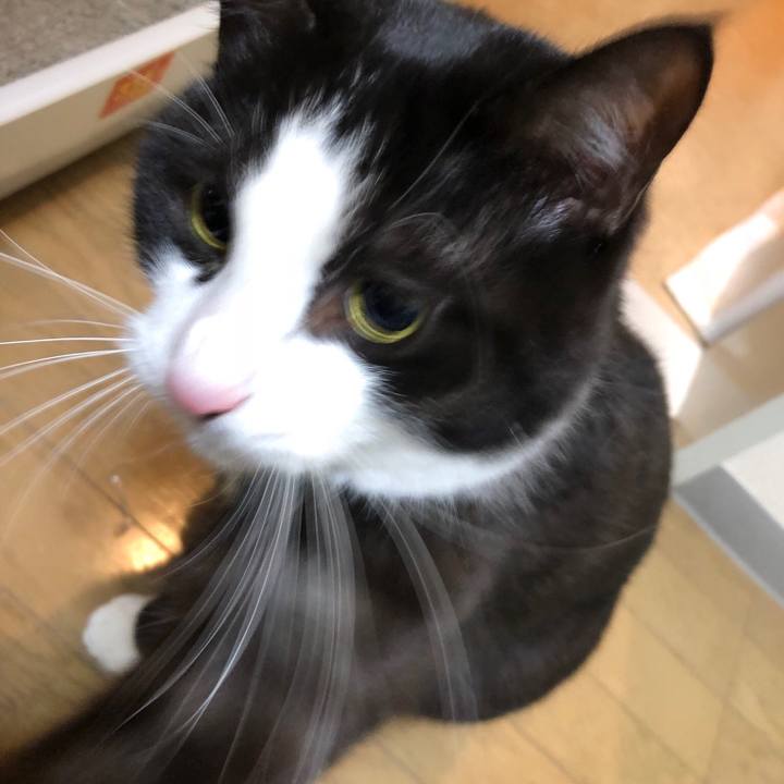 9c8cb7ff 246c 4666 a76d 444b58324a05 1515334563080