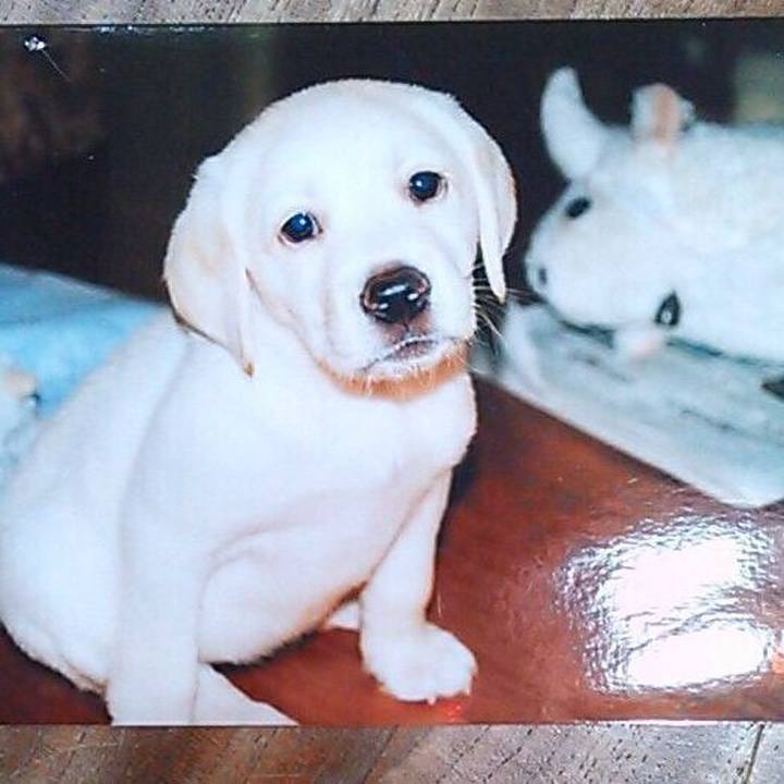 9c8cdbbb a726 4abd a27d 0a876fefb594 1514945537512