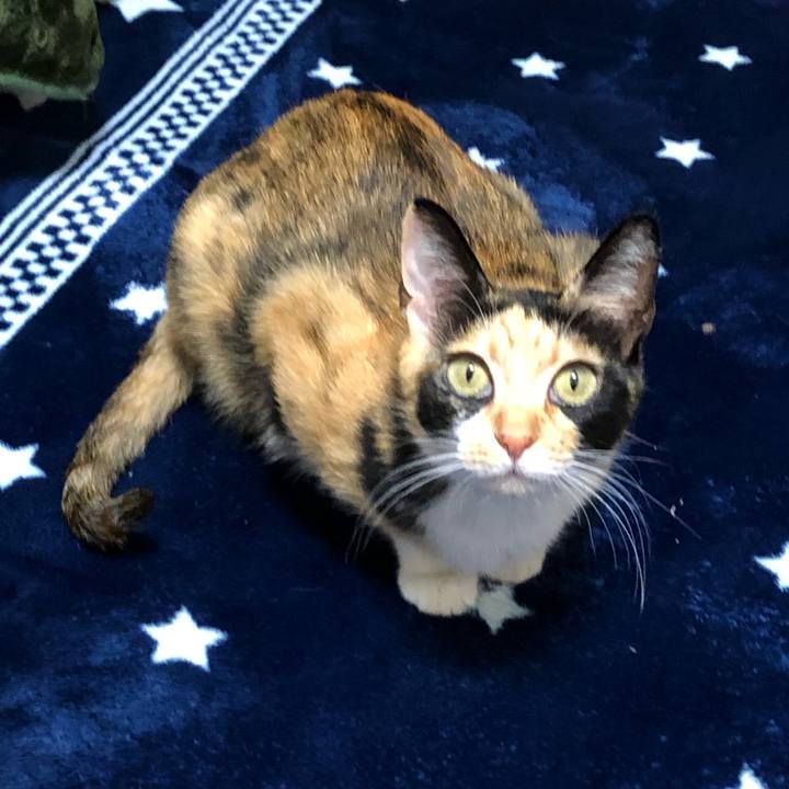 9c8cddc0 83be 41ce a2fe 88c62516af6a 1546644683498