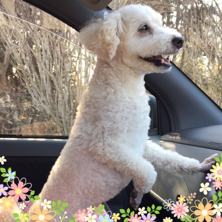 9c8d180d c02b 4452 8269 cb1d0fbe7c94 1519080457172