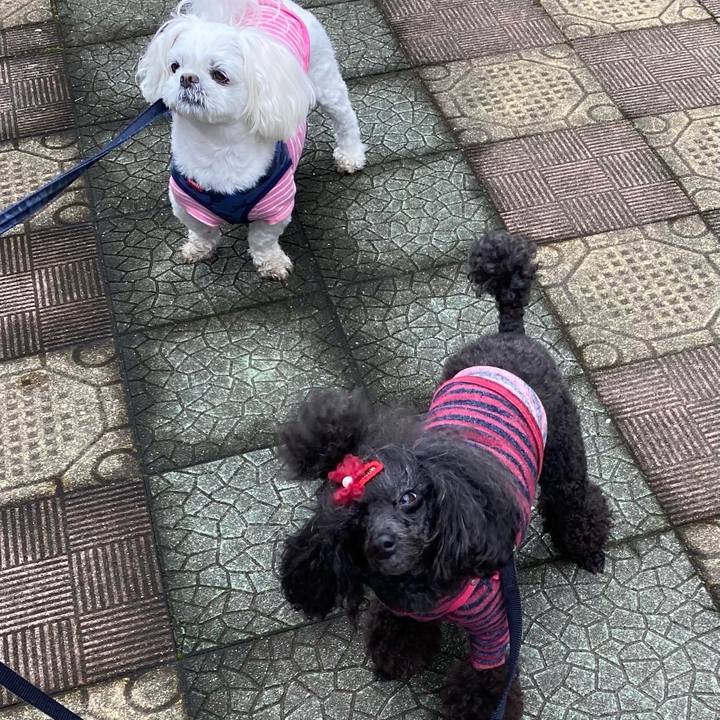 9c8d478f 741a 447e 8bc2 0dee1fb23711 1653241251356