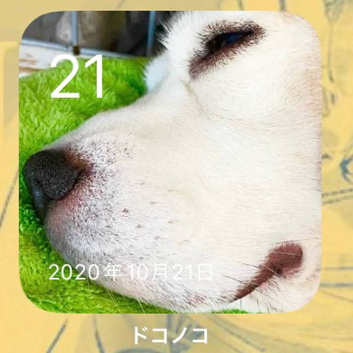 9c8d5058 36d9 4914 b156 155a98fb6446 1697848136053