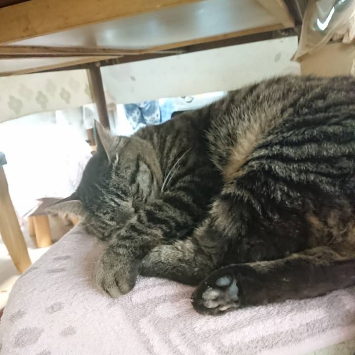 9c8d5c73 e390 4eeb ab07 d562c670c5c1 1654292807873