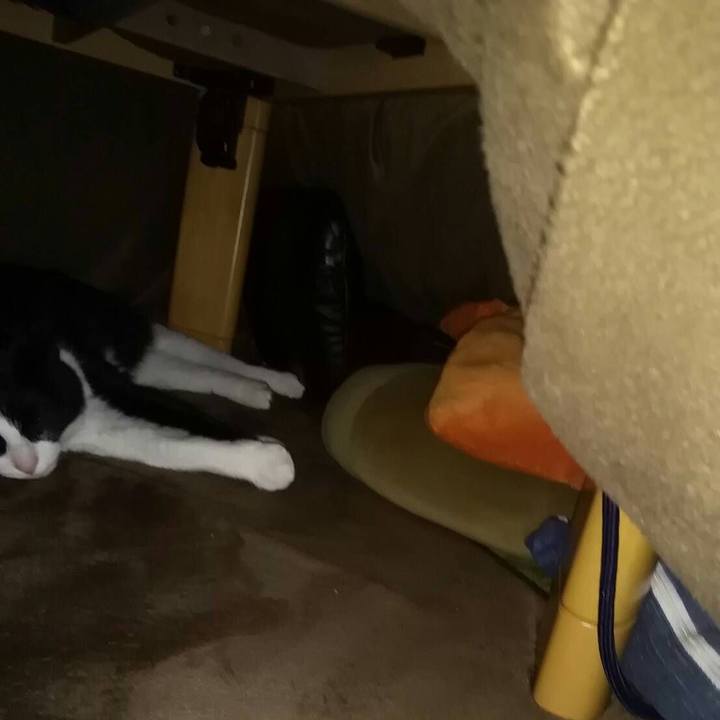 9c8d682a f427 4df6 8397 75a423d55c13 1552873809833