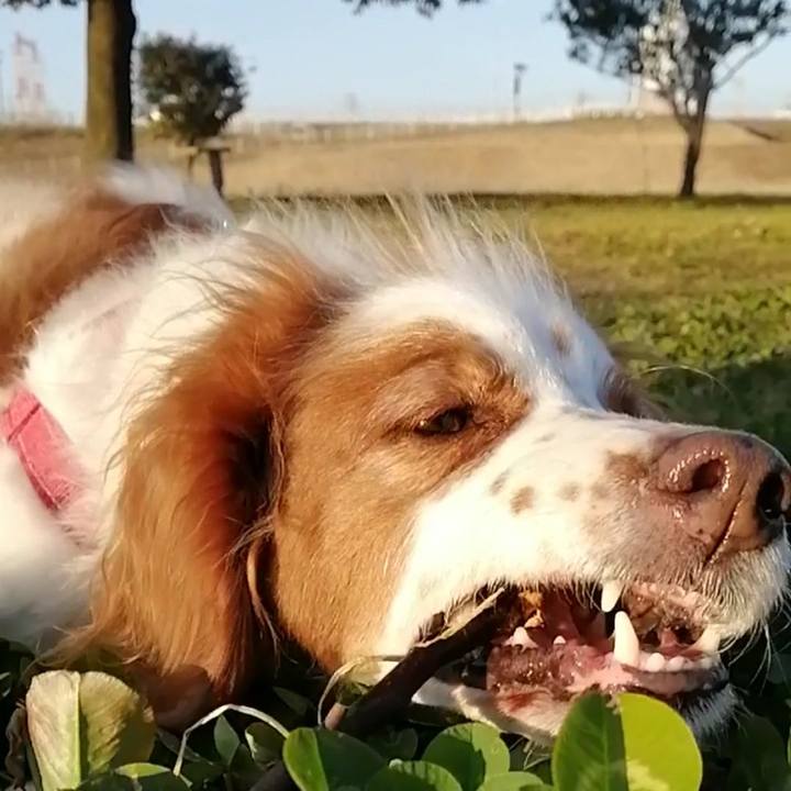 9c8d74d7 f075 4556 b990 d1d56778a213 1612093035475