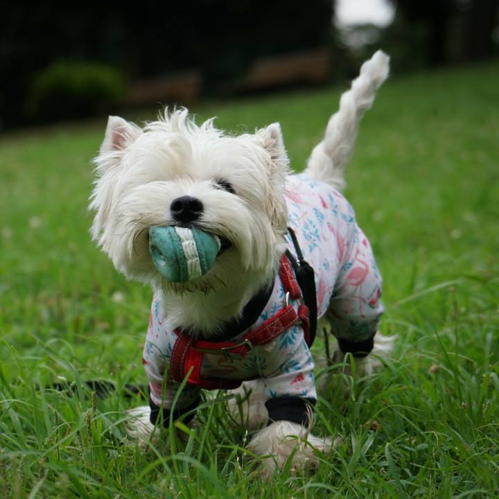 9c8d7cb5 4d77 4330 a133 2085032c143d 1530229100333