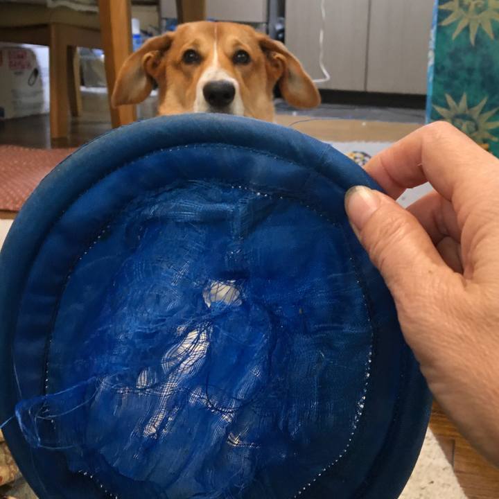 9c8d82ff 2885 40a2 87a3 c4df88d5c206 1601514817295