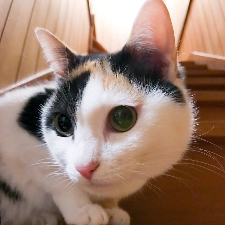 9c8d8318 fdc6 4aaf b622 0f2e087d2c1c 1519566782068