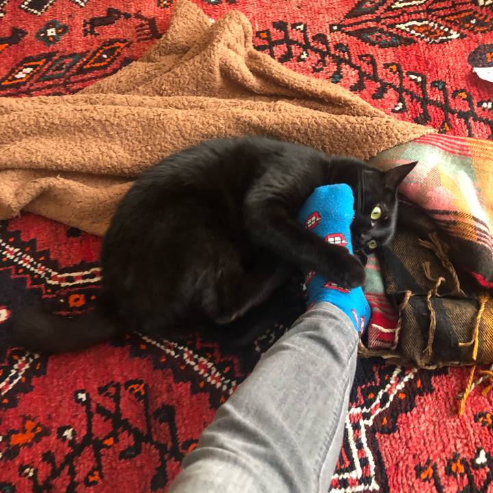 9c8dc992 915b 4955 9b17 42770eaee591 1587079052114