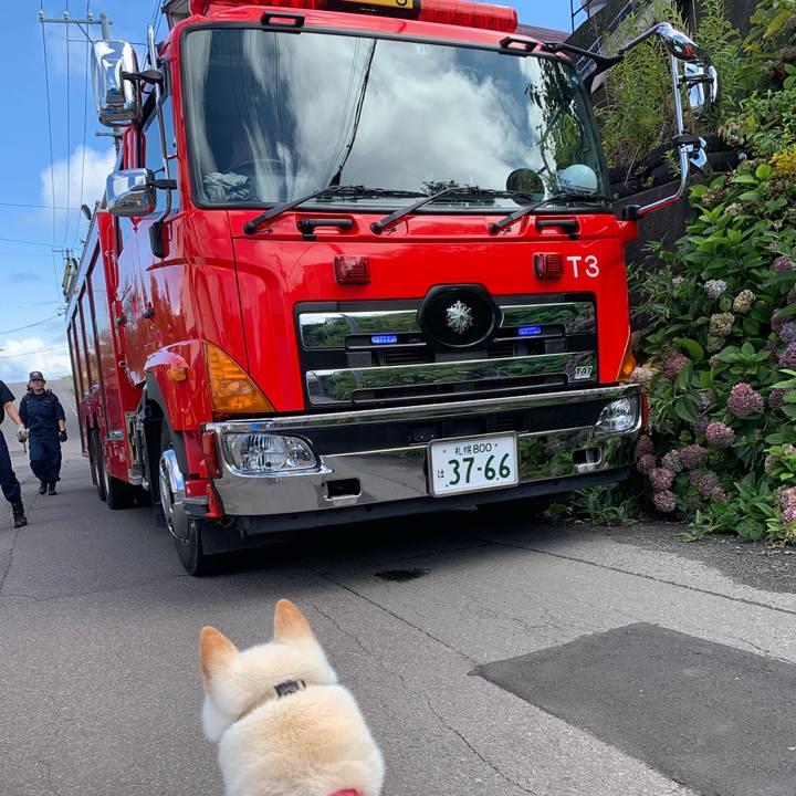 9c8dccbc cb0c 4bd9 9919 1853f4f7af30 1566702109607