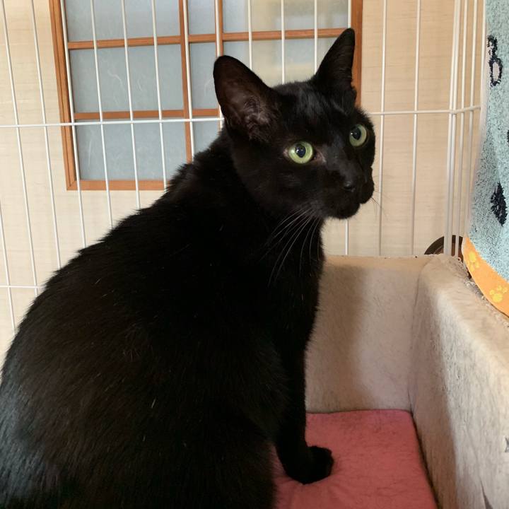 9c8e0adc aba0 4664 a9eb c198927754a1 1541986107489