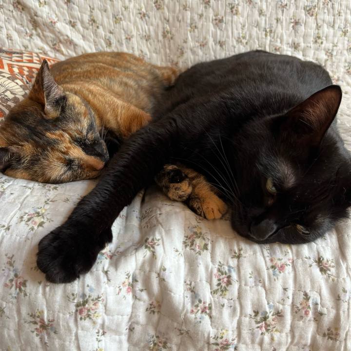 9c8e0d0e 899d 4c59 8e46 feb249a855cb 1690847115270