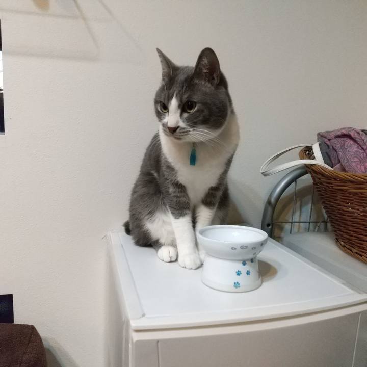 9c8e28ec 419c 417e b49d 08a2947dc756 1643578710427