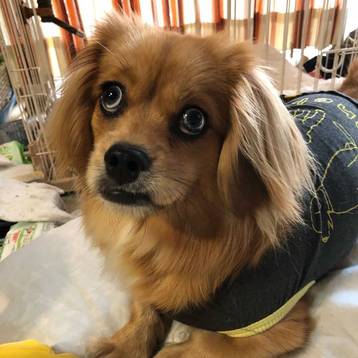 9c8e3a69 5106 4ca4 bf36 eb43dda4aace 1525123259563