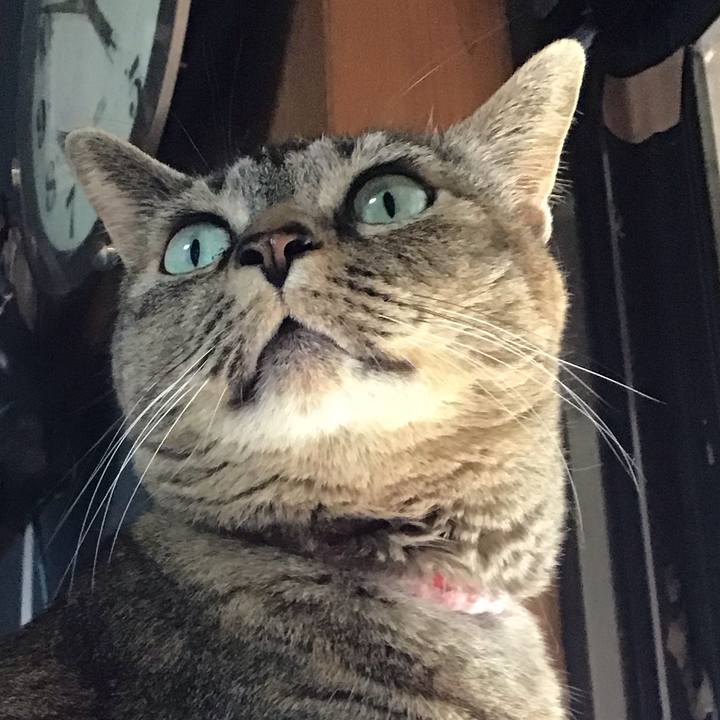 9c8e423e b302 4ab7 8da1 03c8a3c2910f 1683377036187