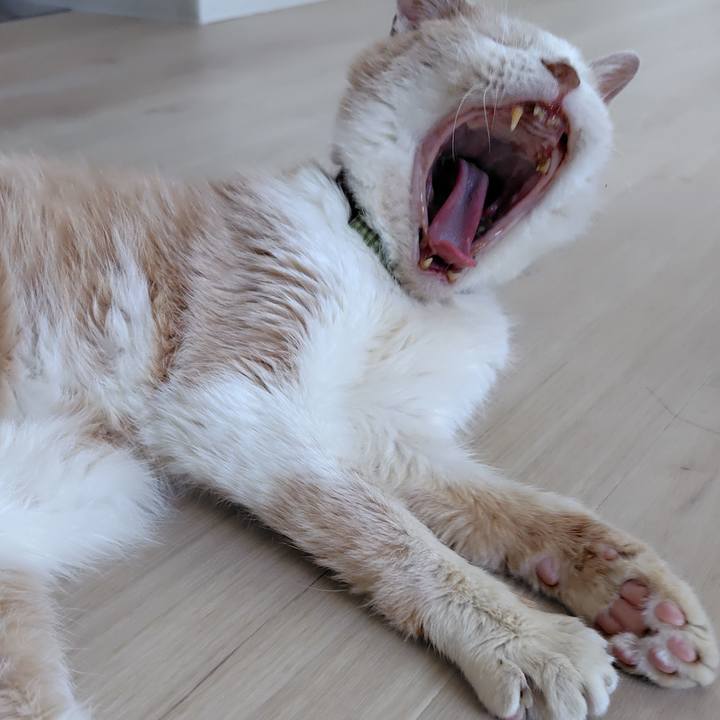 9c8e5b95 0d38 4a69 aa1f d5e8c9f18941 1754008717887