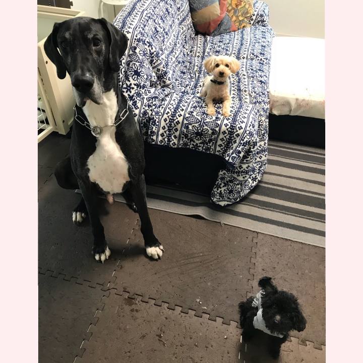 9c8e98d9 55df 4665 a988 b10028de675c 1522969489779