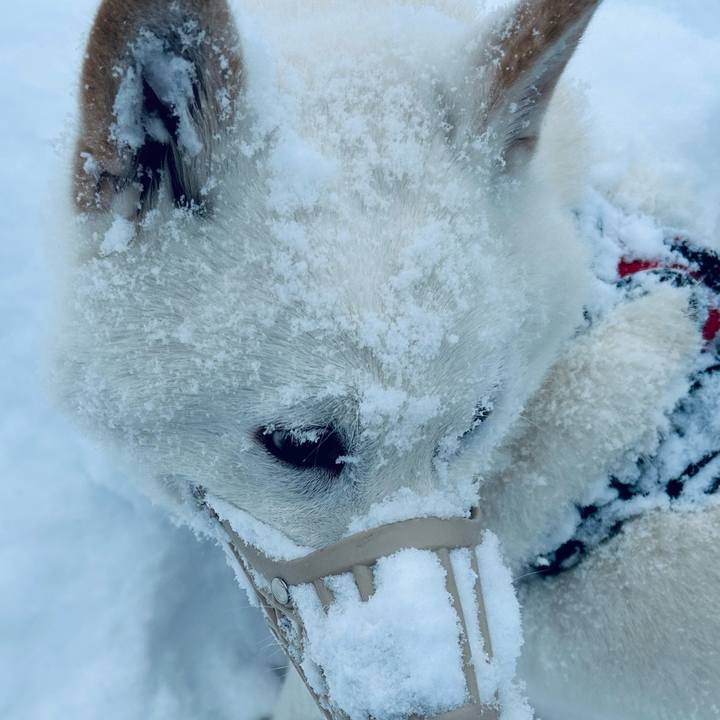 9c8eafe1 d19b 42cc 90e5 abcbd69212f4 1704765327805