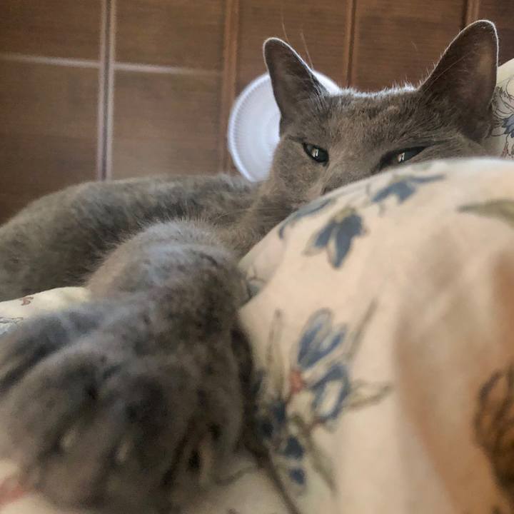 9c8edb9e a5c9 43fe 98d6 fd3e83a8ce1e 1631873915096