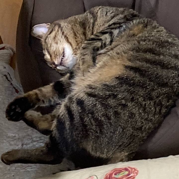 9c8f506b 25cf 4cc3 9ff3 65dd81aeafcf 1595578074233