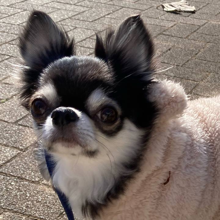 9c8f7e2a a572 43f8 be8e 5122bc9ee757 1674702853215