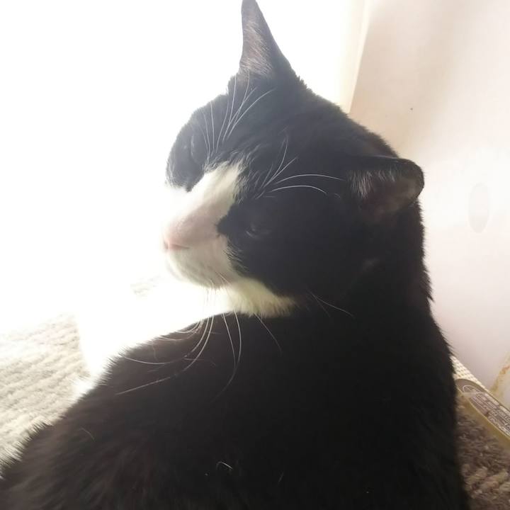 9c8f9507 264c 4a65 ad74 36e7d8e19490 1584937358583