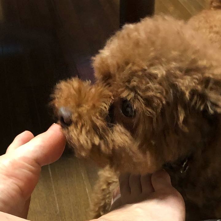 9c8fbf87 bbdf 453a 8e4d 5356e61e47d9 1569929897774