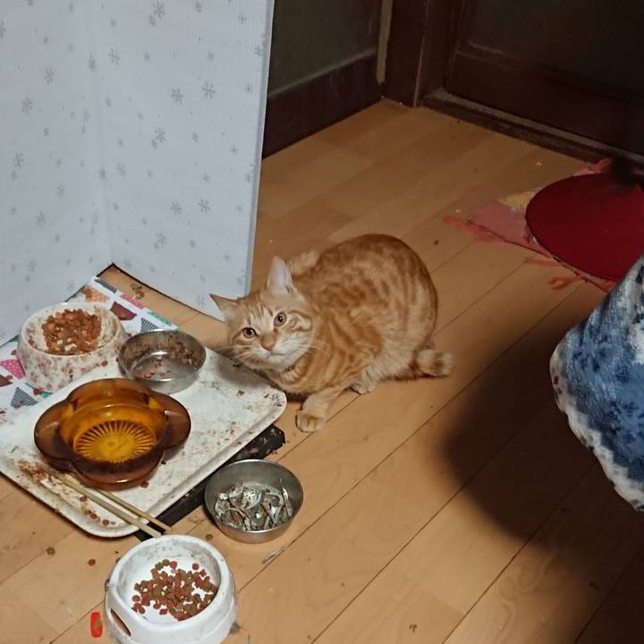 9c90031e cca2 47cc 8604 bcfb7b4b3721 1645736467918