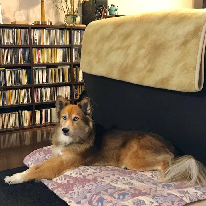 9c905630 966a 4fd0 ace0 60d2e806aa2e 1538708478281