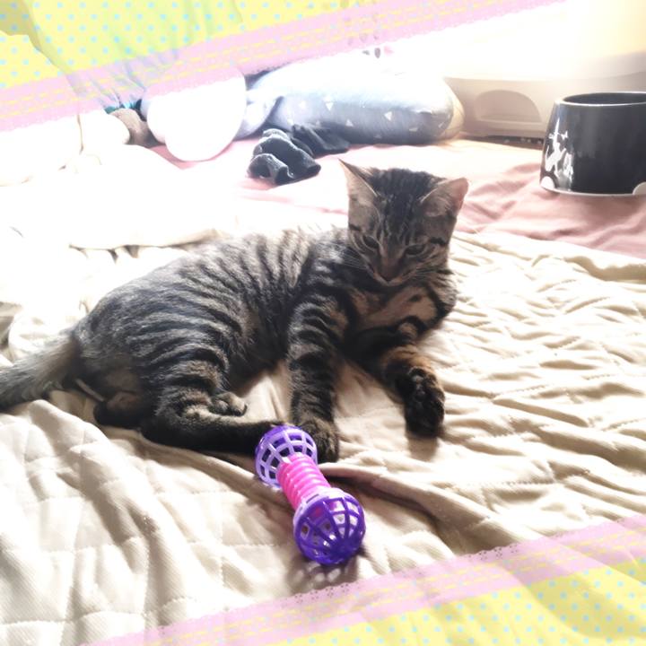 9c908192 cb9e 4613 9737 f0b034ca149e 1540945400675