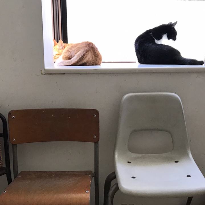 9c90baf2 518d 428d a539 44e298d51404 1558577386455