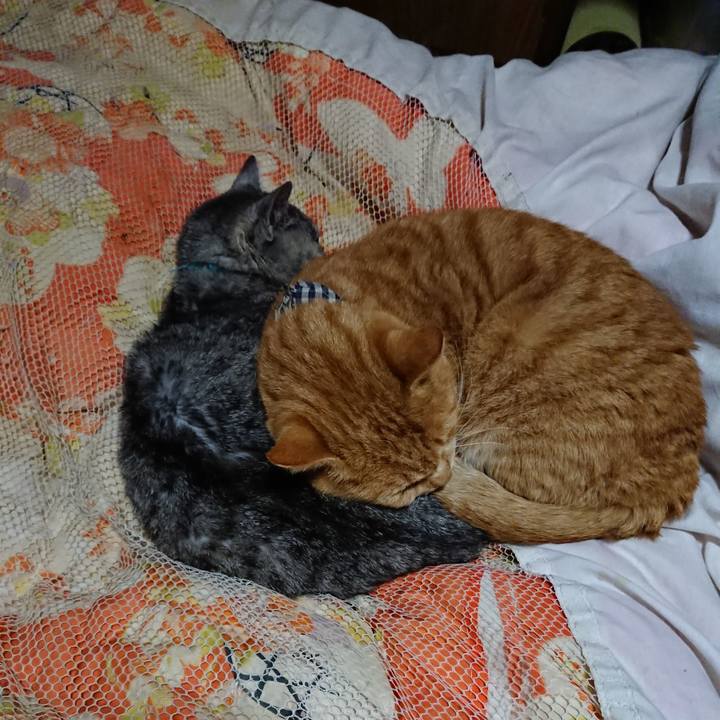 9c90c5b6 07dc 45d5 9761 c110ea64b322 1573909391994