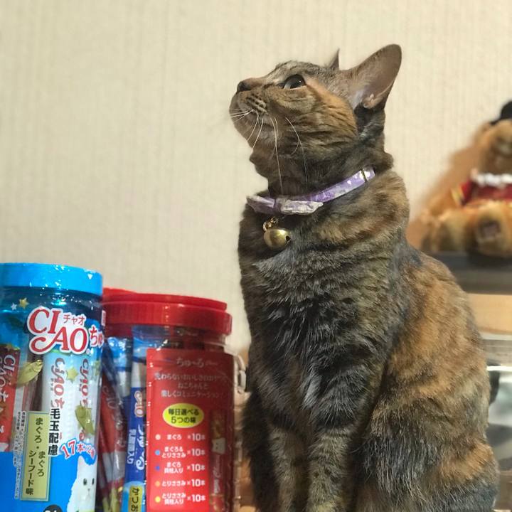 9c90f3b9 4d7d 42f2 bc27 c2d98618f010 1547719436776