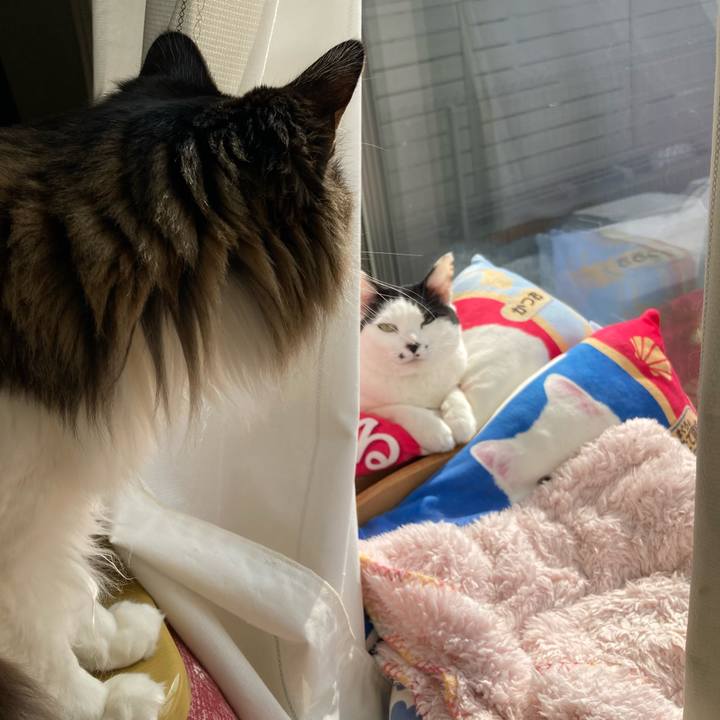 9c90fd15 0795 4d42 9577 0108722a04c5 1771211954642