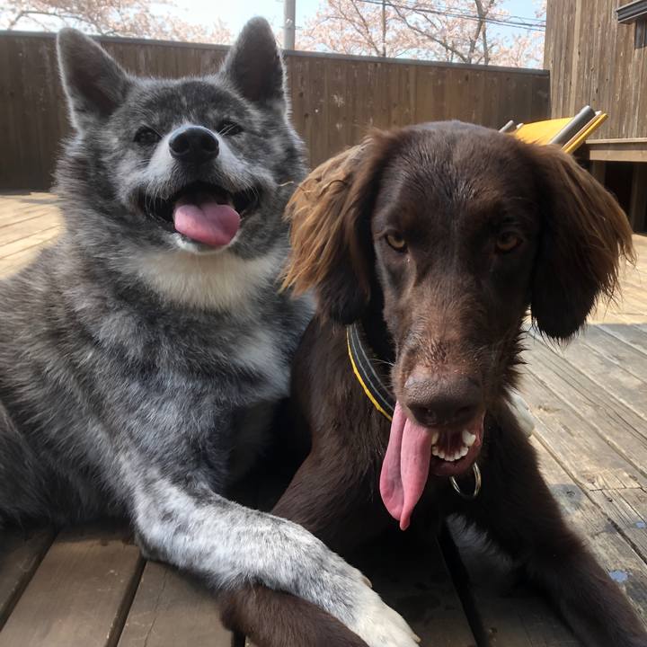 9c910484 b116 4970 848e 4e671a290788 1585976164727