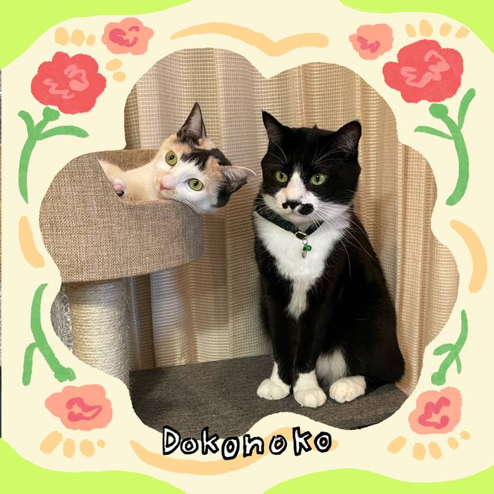 9c9104f3 d016 4c25 b815 e9e8bb61ed82 1714909086473