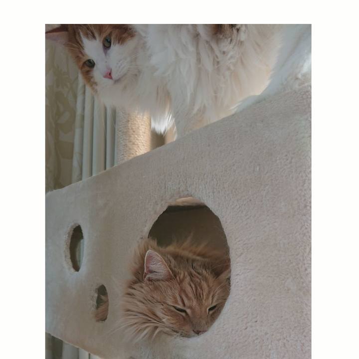 9c91092a 84de 4901 b1cc 14e35476392d 1549779216231