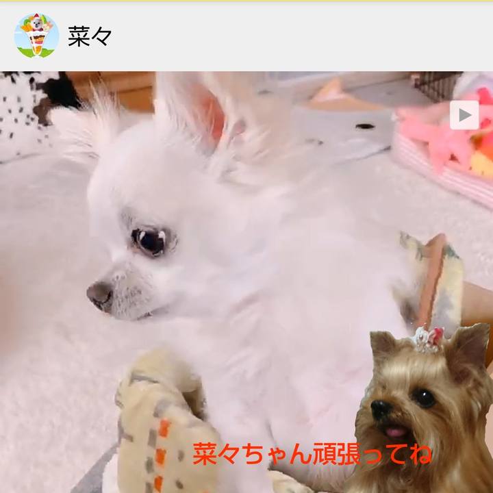 9c912945 3bac 4476 9311 0f1624ab9226 1582358104874