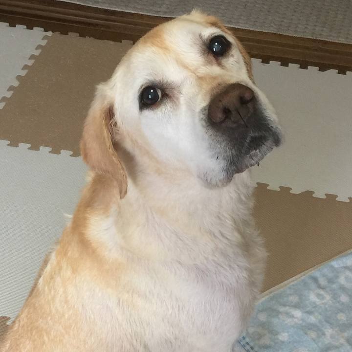 9c913085 85b6 4fee 88f3 5fddacc25ea2 1552398443681