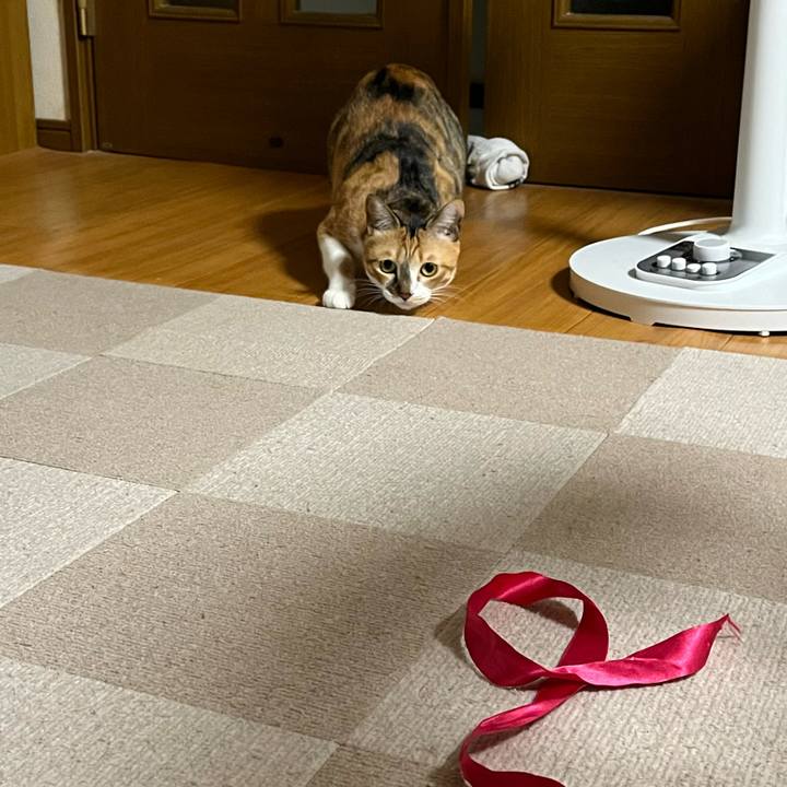 9c9184a9 19a0 45f5 b54a d73569450160 1768211733504