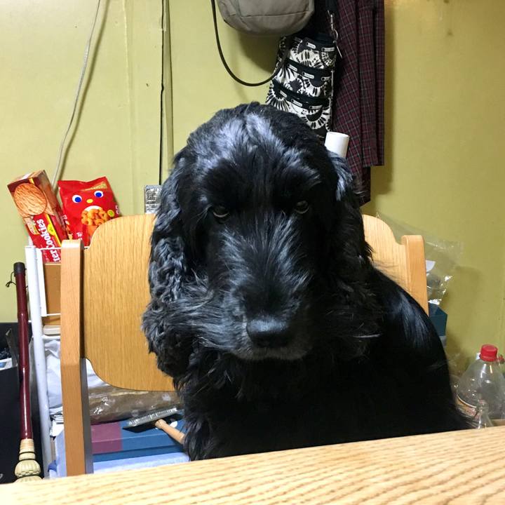 9c919514 7645 45b6 bb66 65f6b1467509 1547558896574