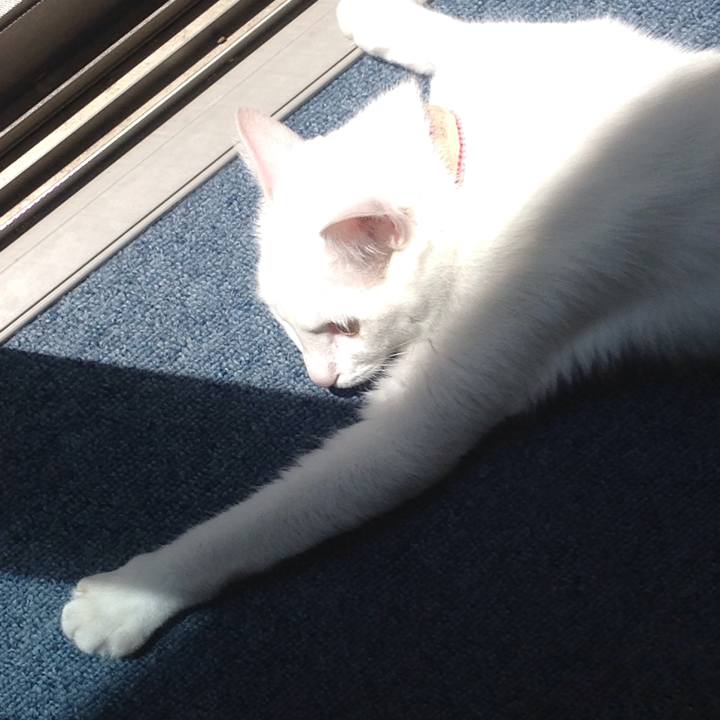 9c919e27 1d86 431b 9923 03e2fbff7d9e 1626572226555