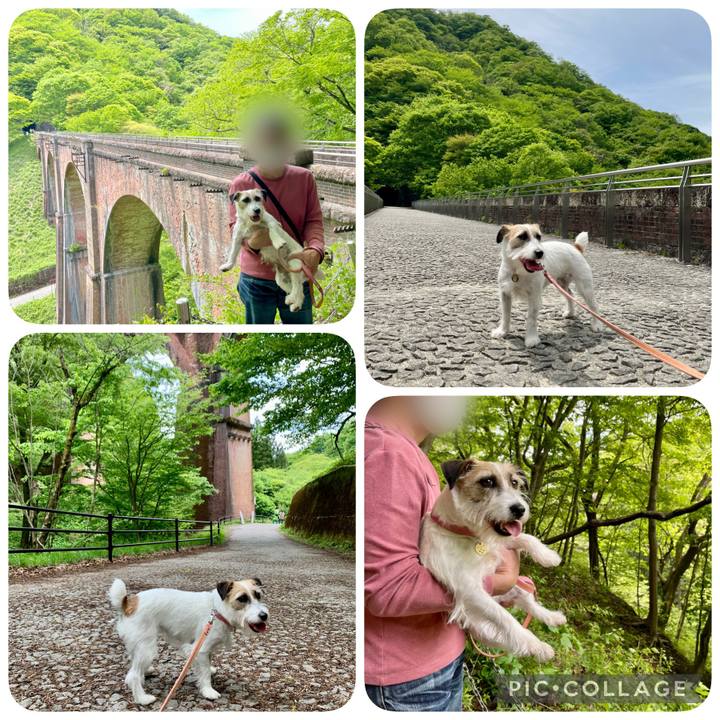 9c91a3b7 7396 4c24 adf8 39f5a50b8d1c 1652105267501