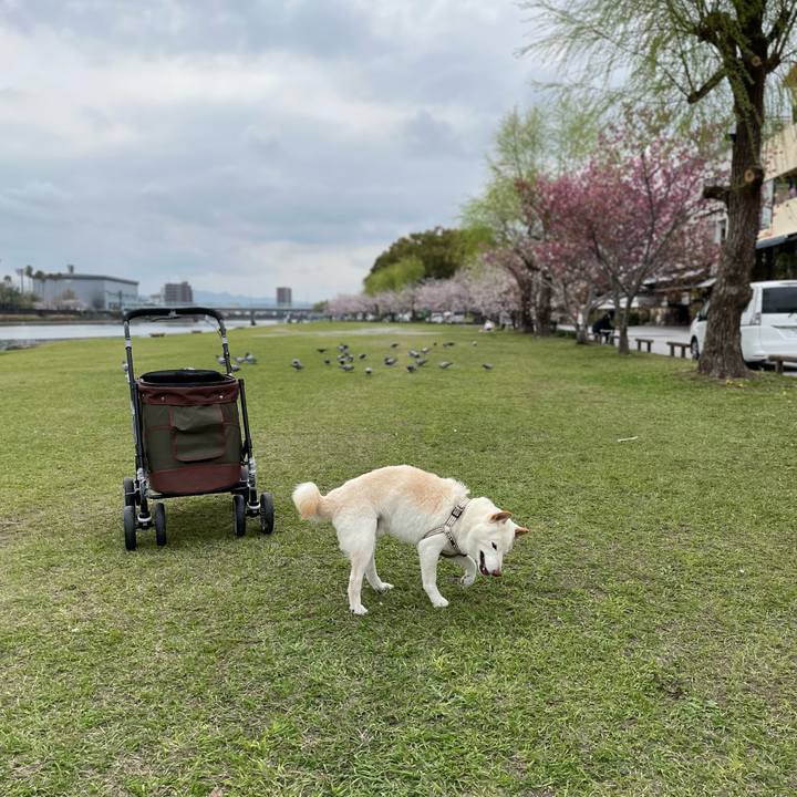 9c91d04f 5140 4227 9f24 f5bd29e67016 1648537048235