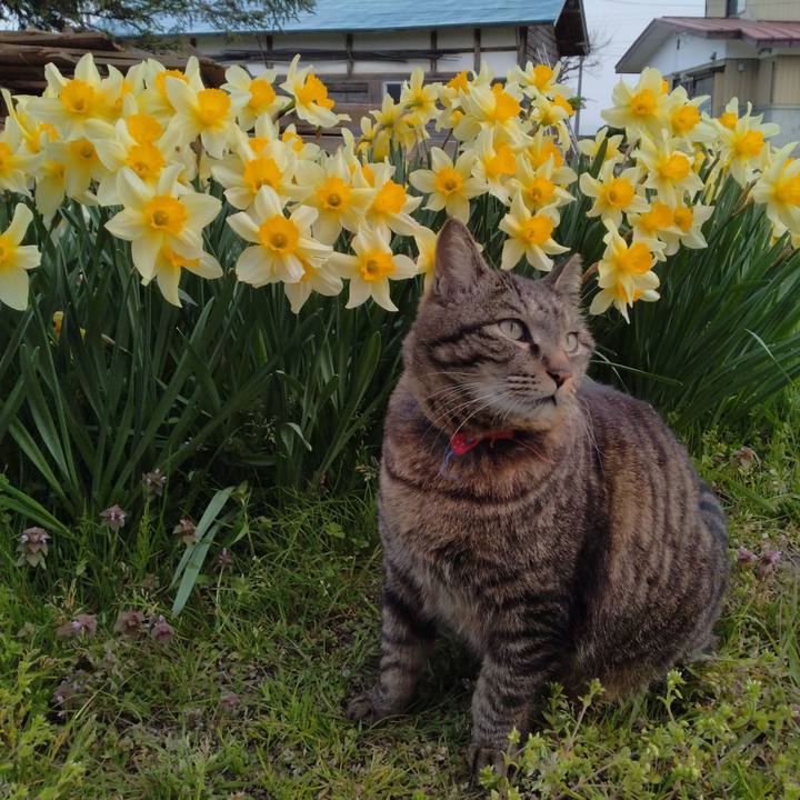 9c920331 7ecb 4b0a a2c2 7cf210c0138c 1681461443747