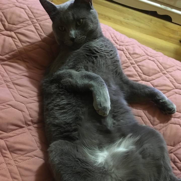 9c92106b e603 4d70 84af 9137d5627040 1633793823556