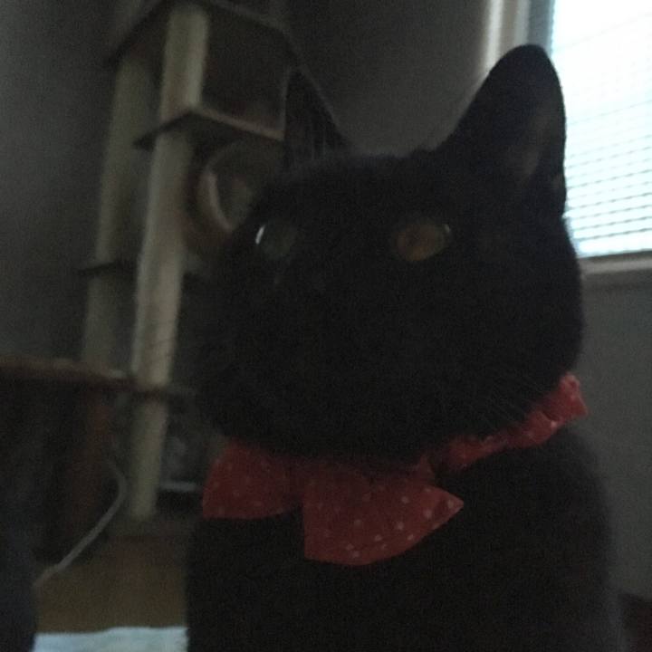 9c925f4e 121c 4a5e bbad 2f27e6407835 1545948701527