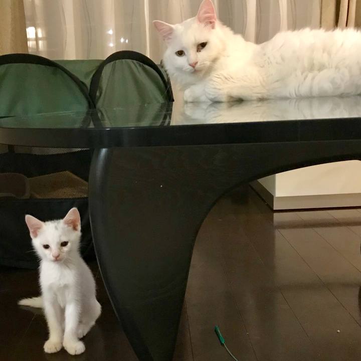 9c9263ca 4654 41be 857b 94ce78b2b771 1564832777067