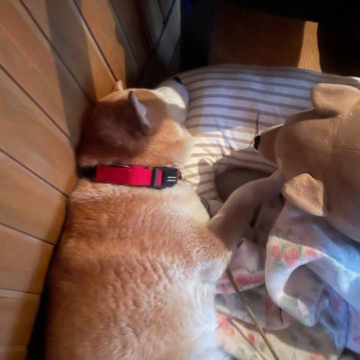 9c926f23 53ae 4991 b30e ef3ac3ccc00d 1716976260453